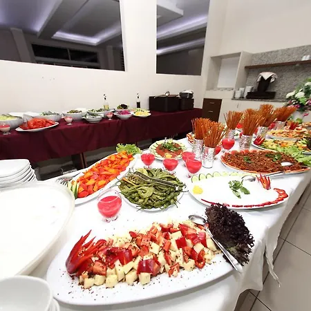 Afyon Grand Arı *