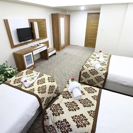 Afyon Grand Ari מלון *