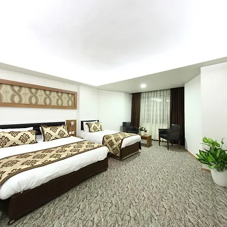 Afyon Grand Ari