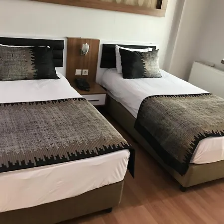 Hotel Afyon Grand Ari *