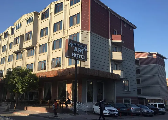 Hotel Afyon Grand Ari *