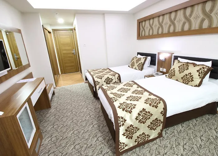 Hotel Afyon Grand Ari *