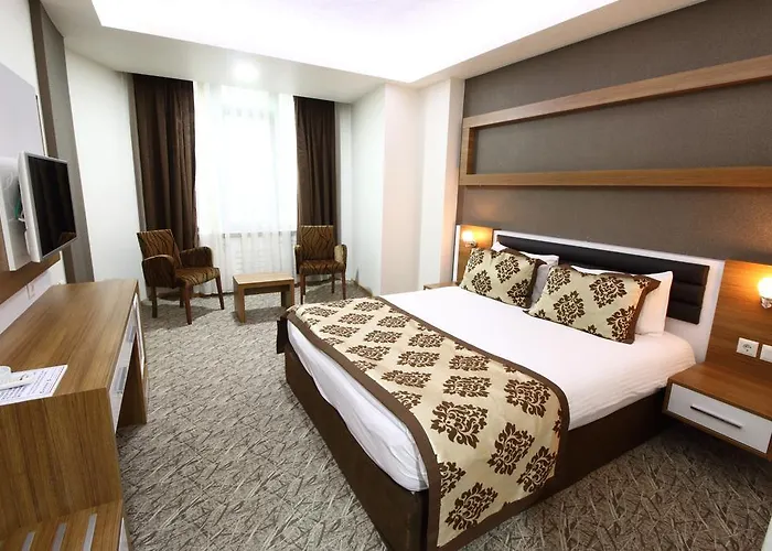 Hotel Afyon Grand Ari