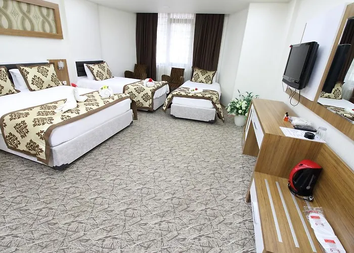 Hotel Afyon Grand Ari