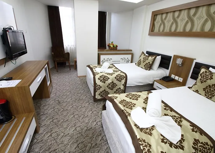 Hotel Afyon Grand Ari *