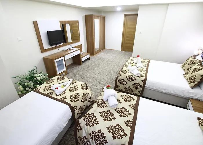 Afyon Grand Ari Hotel *