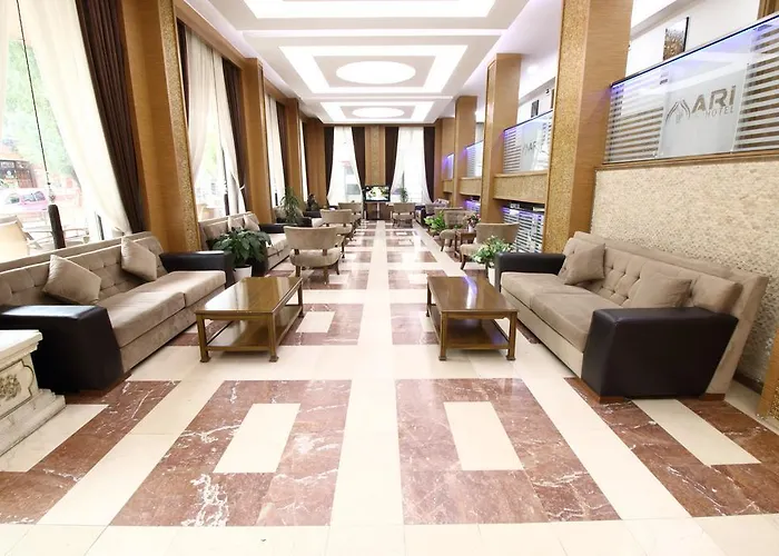 Afyon Grand Ari Hotel *