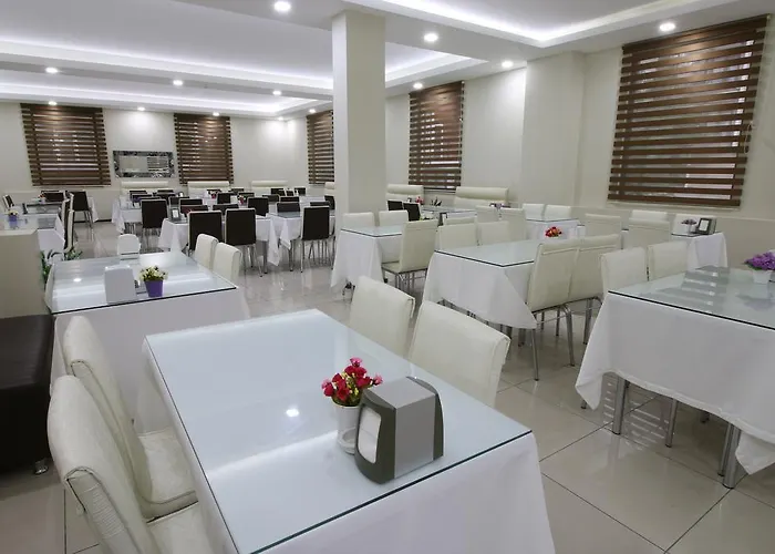 Hotel Afyon Grand Ari *